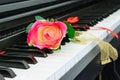 Piano & rose