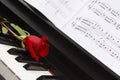 Piano Sheet Music with Rose Royalty Free Stock Photo