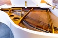 Piano strings and hammer detail from inside Royalty Free Stock Photo