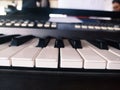 Piano Toots White and black Royalty Free Stock Photo