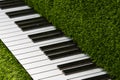 Piano from topiary grass in the city center