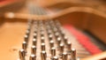 Piano tuning pins.