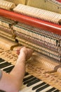 Piano tuning process. closeup of hand and tools of tuner working on grand piano. Detailed view of Upright Piano during a Royalty Free Stock Photo