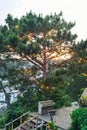 Piano under a pine tree in luminous garlands under sunset in the city of Da Lat