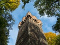 Piast tower Piastowska wieza , Castle hill, Cieszyn, Poland Royalty Free Stock Photo