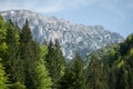 The Piatra Craiului Mountain range in the Southern Carpathians, Romania Royalty Free Stock Photo