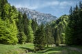 The Piatra Craiului Mountain range in the Southern Carpathians, Romania Royalty Free Stock Photo