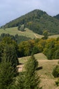 Summer view of Piatra Craiului National Park. Zarnesti. Southern Carpathians. Romania Royalty Free Stock Photo