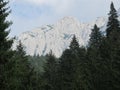 Piatra Craiului Mountains Royalty Free Stock Photo