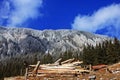 Piatra Craiului ridge in winter Royalty Free Stock Photo