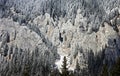 Piatra Craiului ridge in winter Royalty Free Stock Photo