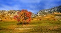 Piatra Secuiului, Trascau Mountains, Alba County, Romania Royalty Free Stock Photo