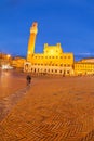 Piazza del Campo with Palazzo Pubblico Royalty Free Stock Photo