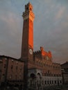 Piazza del Campo, Siena Royalty Free Stock Photo