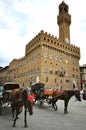 Piazza della Signoria in Florence city center , Italy Royalty Free Stock Photo