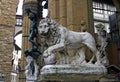 Piazza della Signoria lion Royalty Free Stock Photo