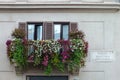 Piazza Navona, Rome, Italy, Beautiful Pink and White Flowers on an old balcony, Street plate of famous Piazza Navona