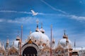 Piazza San Marco Saint Mark Square with Basilica di San Marco. Roof architecture details with flying seagull bird Royalty Free Stock Photo