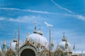 Piazza San Marco Saint Mark Square with Basilica di San Marco. Roof architecture details with flying seagull bird aginst Royalty Free Stock Photo