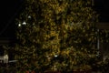 St Peter square, the nativity scene realized with the sand of Jesolo, and the Christmas tree decorated with gold-colored lights.