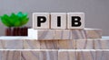 PIB - acronym on wooden cubes on the background of wooden blocks and cactus