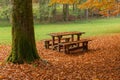 A pic nic area with wooden bench and table during autumn, beech leaves carpet Royalty Free Stock Photo