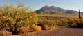 At the Picacho Peak