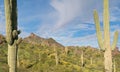 Picacho Peak State Park