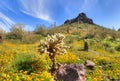 Picacho Peak State Park Royalty Free Stock Photo
