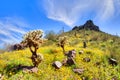 Picacho Peak State Park