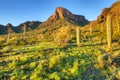 Picacho Peak Royalty Free Stock Photo