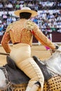 Picador bullfighter, lancer whose job it is to weaken bull`s neck muscles