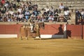 Picador bullfighter