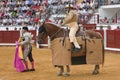 Picador bullfighter