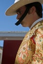 Picador bullfighter