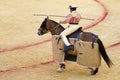 Picador in Seville Royalty Free Stock Photo