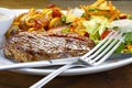 Picanha and salad seen up close