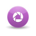 Picasa icon, simple style Royalty Free Stock Photo