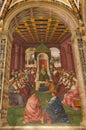 Piccolomini frescos library, Siena, Tuscany Italy Royalty Free Stock Photo