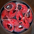 Pices of red fish and greenery on a studio background