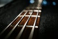 bass guitar fretboard closeup repair Royalty Free Stock Photo