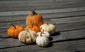 Pick up couple of Pumpkins Royalty Free Stock Photo