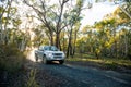 Pick-up truck forest road sunrise