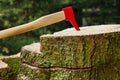 Pickaroon, sappie in tree stump. Wood-handled, metal-topped logging tool.