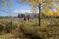 Active women hiking in the park in autumn