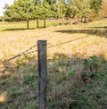 Close up of wooden fence post in the countryside Royalty Free Stock Photo