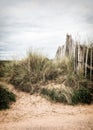 A Picket Fence & Sand Dunes On The Seafront At Dawlish Warren, D Royalty Free Stock Photo