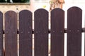 Picket fences fence of the fence Royalty Free Stock Photo