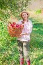 Picking apples. Harvesting apples. Woman with apples in the garden
