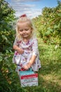 Picking berries in autumn Royalty Free Stock Photo